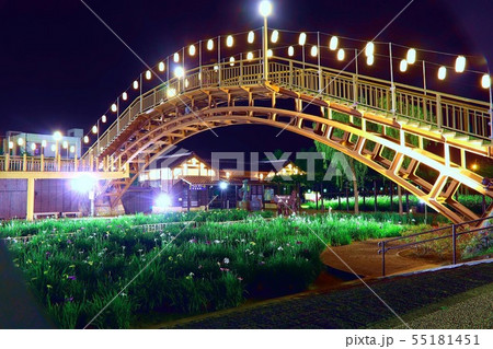 ライトアップされた橋とあやめ 55181451