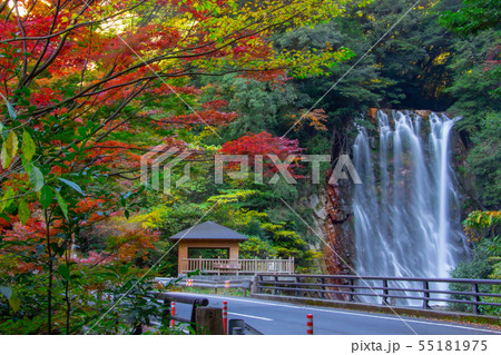 鹿児島県 霧島市の紅葉 行楽シーズン 鹿児島県 霧島市の紅葉 行楽シーズン 55181975