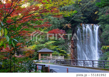 鹿児島県　霧島市の紅葉　行楽シーズン 55181992