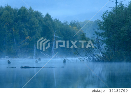 秋の上高地、朝もやのかかる大正池の夜明け 55182769