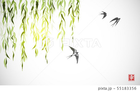 Flying swallow birds and green willow branches on white background. Traditional Japanese ink wash Flying swallow birds and green willow branches on white background. Traditional Japanese ink wash 55183356