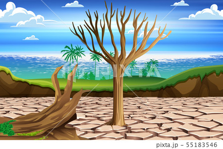 landscape of dry tree in the dry river 55183546