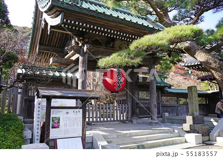 鎌倉　長谷寺　山門 55183557