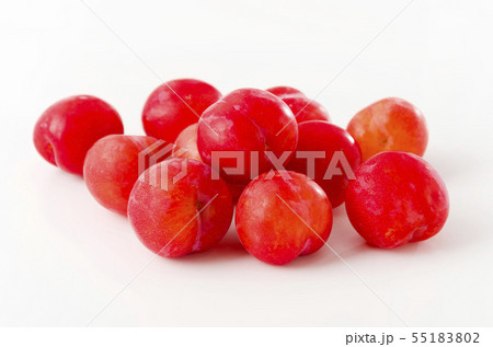 すもも（プラム） 55183802