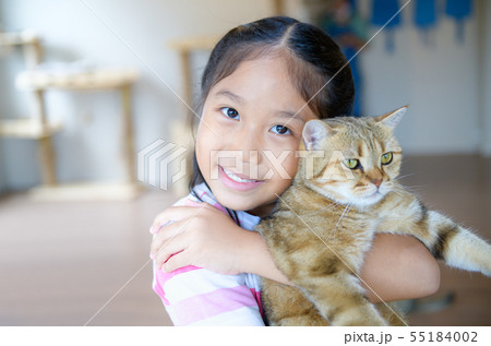 Cute girl hug and play scottish fold cat 55184002