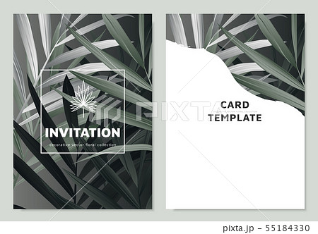 Invitation card template design, palm leaves 55184330