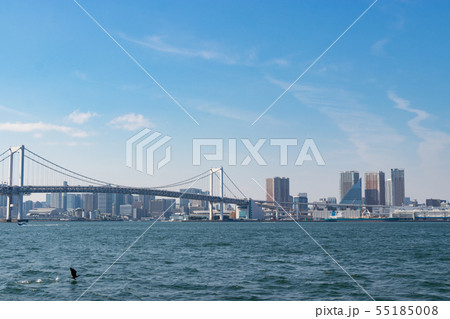 豊洲ぐるり公園からの風景 東京都江東区豊洲 豊洲ぐるり公園からの風景 東京都江東区豊洲 55185008