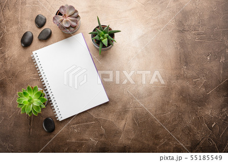 Notepad and succulents on the table. The Business Notepad and succulents on the table. The Business 55185549