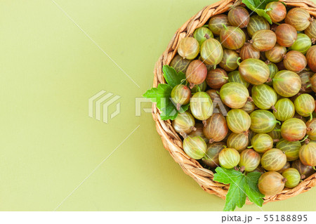 Fresh gooseberries in wicker basket Fresh gooseberries in wicker basket 55188895