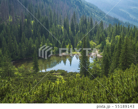 View on Tatliakovo jezero or pleso, mountain lake in Western Tatras mountains, Rohace Slovakia View on Tatliakovo jezero or pleso, mountain lake in Western Tatras mountains, Rohace Slovakia 55189143