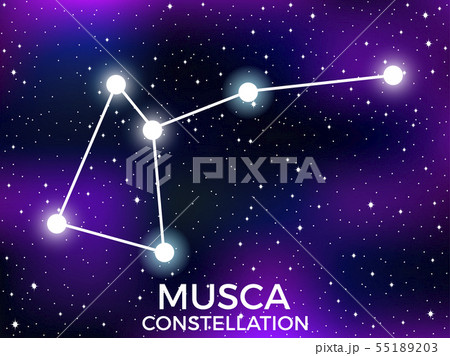 Musca constellation. Starry night sky. Cluster  55189203
