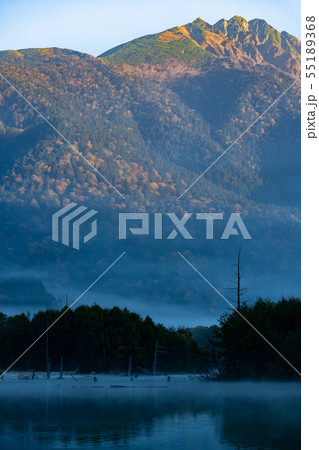 紅葉に染まる穂高連峰と朝もやの大正池 紅葉に染まる穂高連峰と朝もやの大正池 55189368