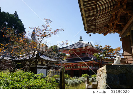 壺阪寺 奈良 壺阪寺 奈良 55190020