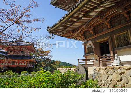 壺阪寺 奈良 55190045