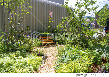 夏の庭 55190872