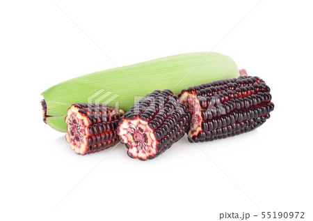 uncooked sweet purple corn on white background 55190972