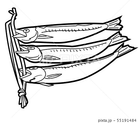 sardine and coloring pages