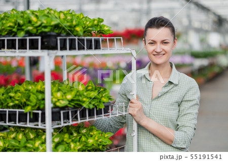 Attractive young brunette woman in green plaid shirt. Greenhouse worker stands next to the shelves Attractive young brunette woman in green plaid shirt. Greenhouse worker stands next to the shelves 55191541