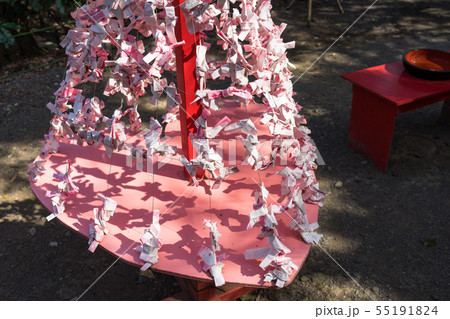 縁結びのおみくじ 55191824