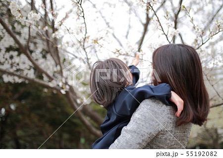 ファミリー (お花見 桜 サクラ さくら 抱っこ 家族 ママ 娘 母親 女性 コピースペース 親子) 55192082