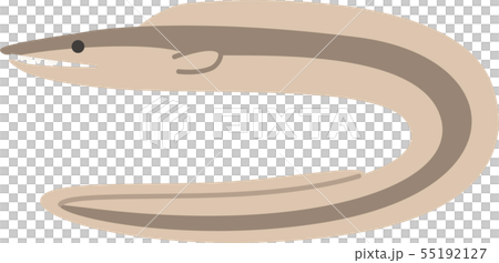 哈莫 哈莫 55192127