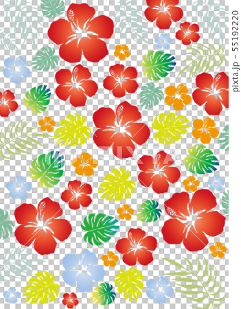 ハイビスカスの花と南国の植物のイラスト素材