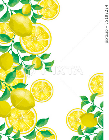 レモンの実とレモン葉のフレームのイラスト素材