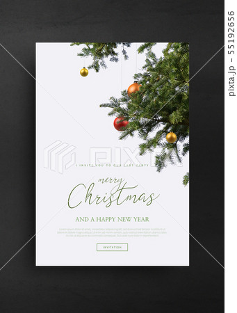 冬 クリスマス 新年 55192656