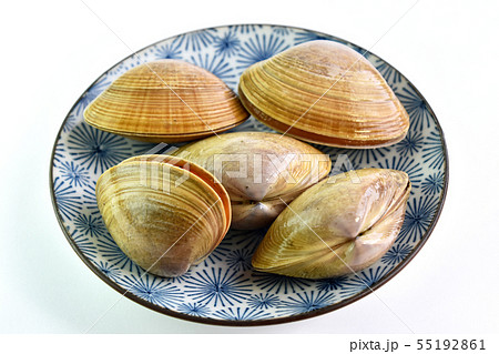 バカガイ（馬鹿貝） 55192861