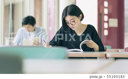 女性 大学生 勉強 撮影協力:恵泉女学園大学 女性 大学生 勉強 撮影協力:恵泉女学園大学 55193183