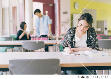 女性　大学生　勉強　撮影協力：恵泉女学園大学 55193242