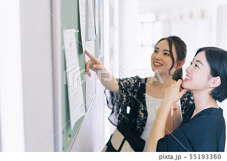 女性　大学生　勉強　撮影協力：恵泉女学園大学 55193360