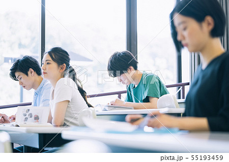 男女　大学生　勉強　撮影協力：恵泉女学園大学 55193459