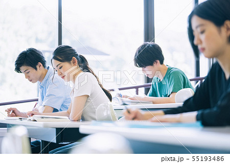 男女 大学生 勉強 撮影協力:恵泉女学園大学 男女 大学生 勉強 撮影協力:恵泉女学園大学 55193486