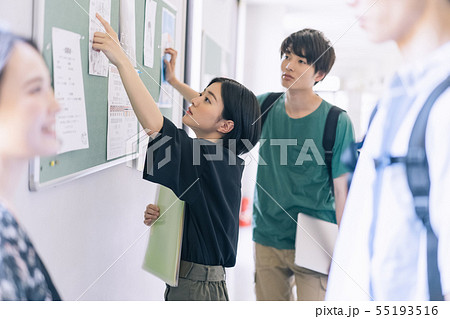 男女 大学生 キャンパスライフ 撮影協力:恵泉女学園大学 男女 大学生 キャンパスライフ 撮影協力:恵泉女学園大学 55193516