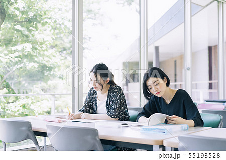 女性 大学生 勉強 撮影協力:恵泉女学園大学 女性 大学生 勉強 撮影協力:恵泉女学園大学 55193528