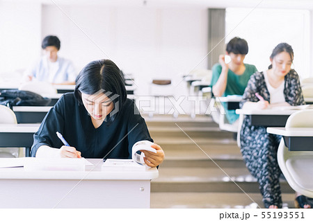 男女　大学生　勉強　撮影協力：恵泉女学園大学 55193551