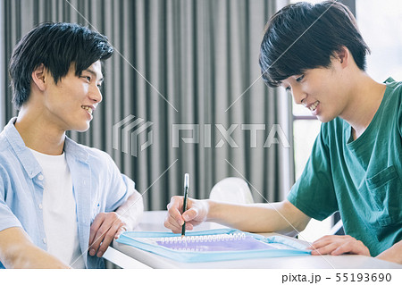 男性　大学生　勉強　撮影協力：恵泉女学園大学 55193690