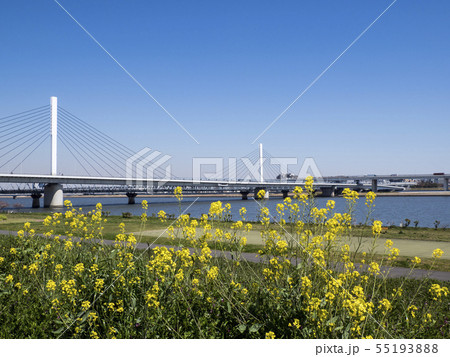 清砂大橋(荒川・中川)(江東区・江戸川区) 清砂大橋(荒川・中川)(江東区・江戸川区) 55193888