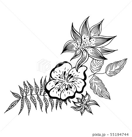 Summer tropical leaf. Floral botanical flower. Summer tropical leaf. Floral botanical flower. 55194744