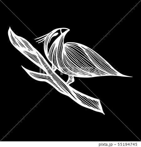 Bird hand-drawn branch in outline style on white Bird hand-drawn branch in outline style on white 55194745