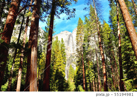 3つに分かれる滝を合わせると世界で5番目の高さをもつヨセミテ滝 55194981