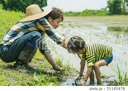 ファーマー　親子　田植え 55195878