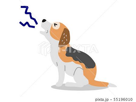 鳴きやまない老犬 55196010