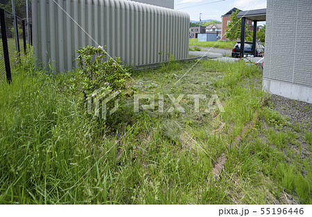 造園前の庭 55196446