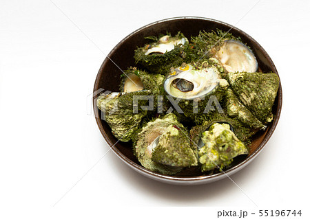 バテイラ 55196744