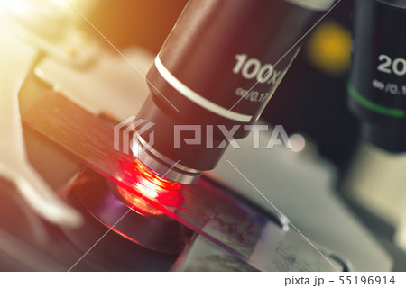 Microscope in medical laboratory analyzing a test Microscope in medical laboratory analyzing a test 55196914
