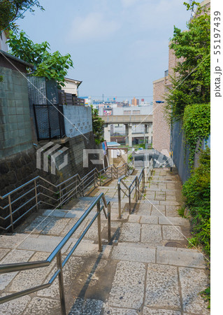 北区田端の不動坂から東北新幹線の線路を望む 55197439