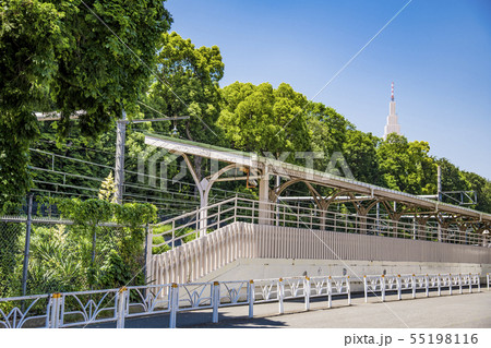 【宮廷ホーム】 55198116