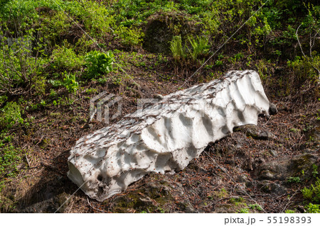 A thick layer of snow melting in high mountains. A thick layer of snow melting in high mountains. 55198393